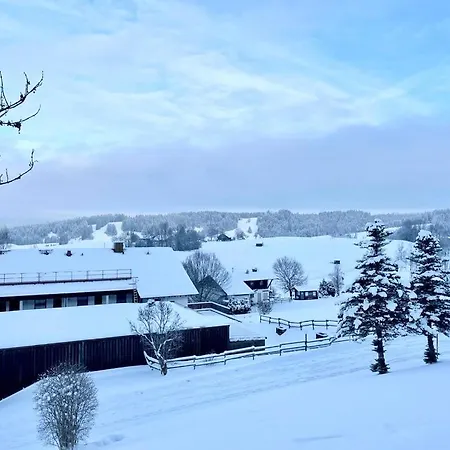 Fewo Alpenwiese Mit Hallenbad&Sauna Missen-Wilhams Exterior foto