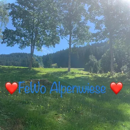 Fewo Alpenwiese Mit Hallenbad&Sauna Missen-Wilhams Exterior foto