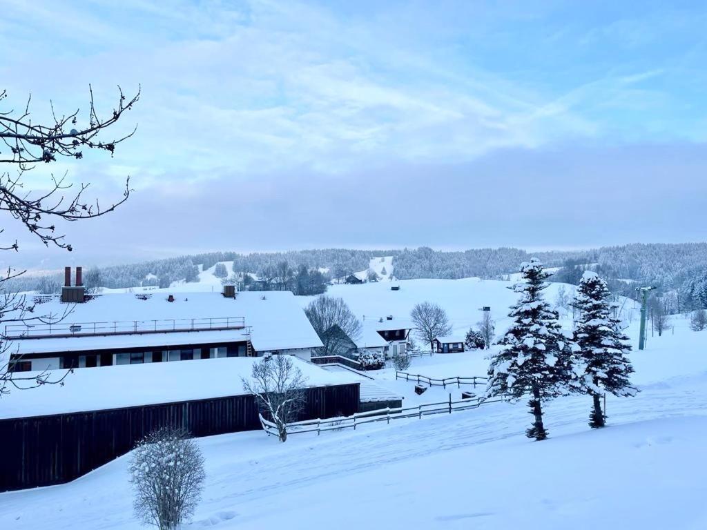 Apartment Alpenwiese Mit Hallenbad&sauna Missen-Wilhams