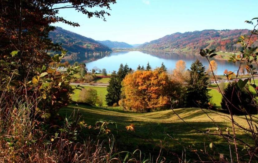 Alpenwiese Mit Hallenbad&sauna * Missen-Wilhams